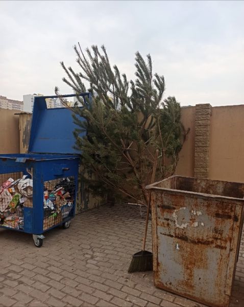 «Еще один сдался»,- в Курске на мусорке заметили новогоднюю ёлку