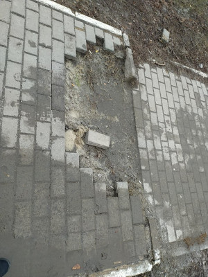 В Курске автомобилисты устроили парковку на тротуаре