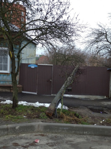 В Курске столб с проводами упал на забор частного дома