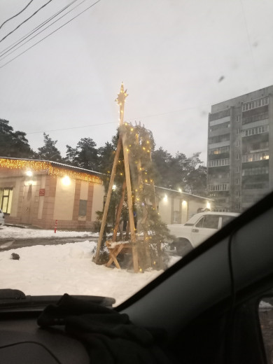 В Курске заметили самую необычную новогоднюю елку страны