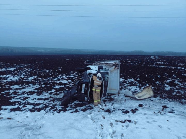 В Курской области грузовик вылетел с трассы