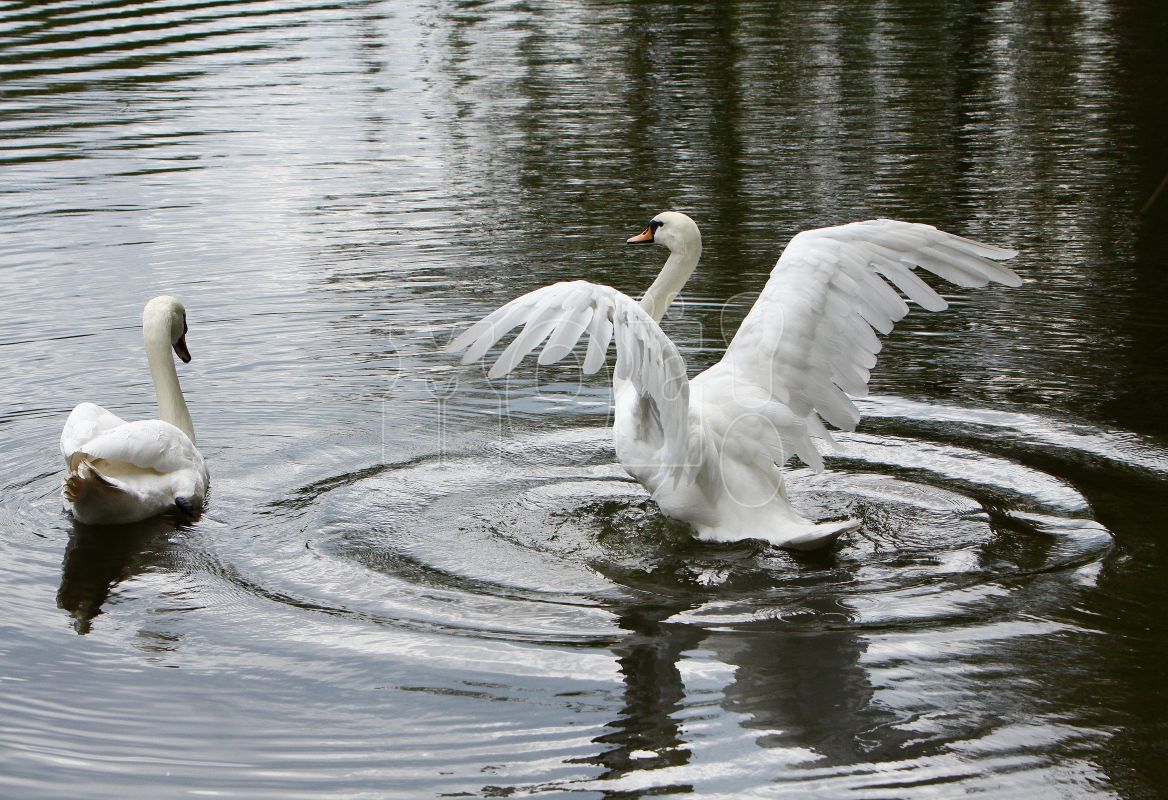 Россиянам напомнили о&nbsp;короткой рабочей неделе
