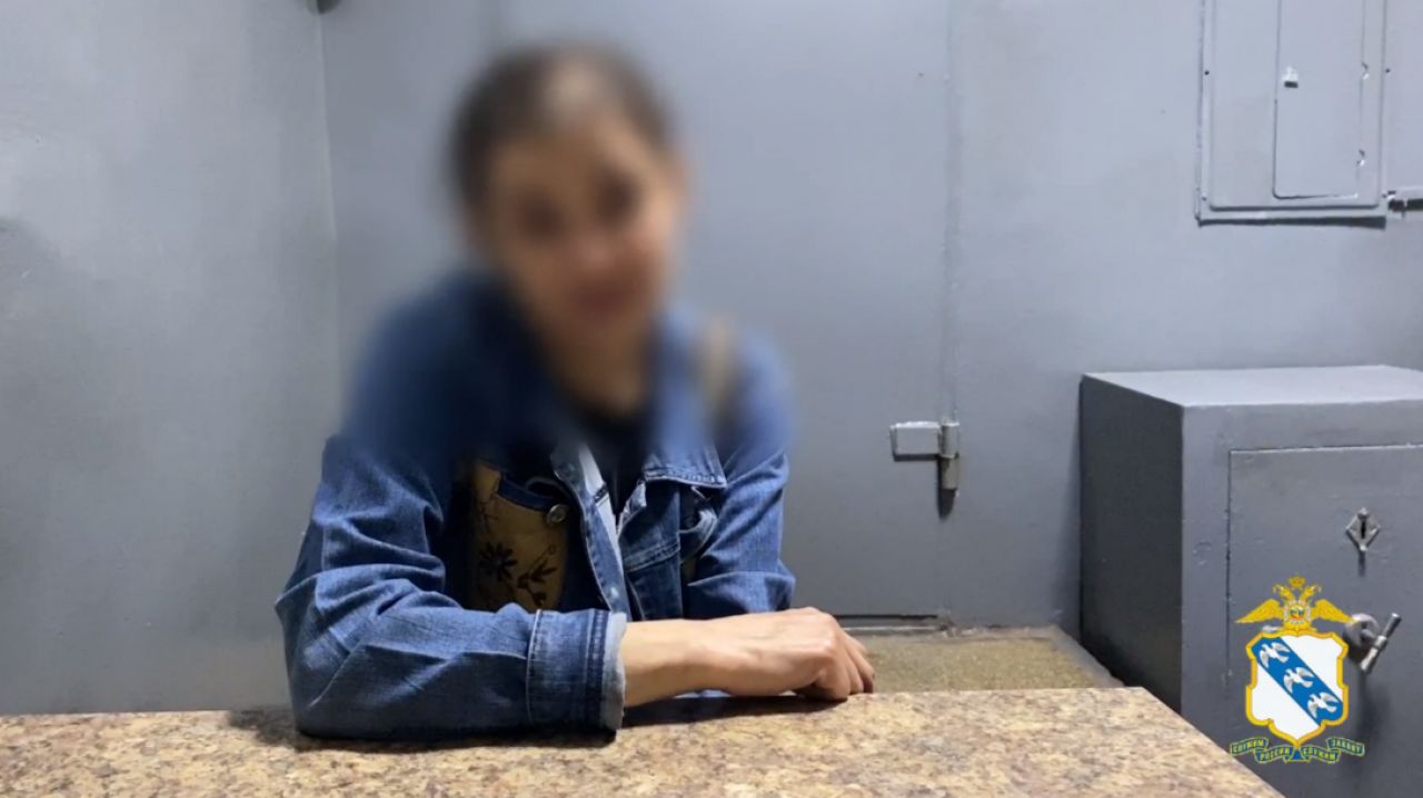 В Железногорске будут судить серийную воровку