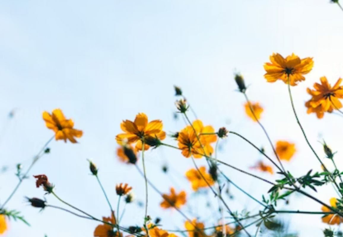 Курян ждет новый перепад температур