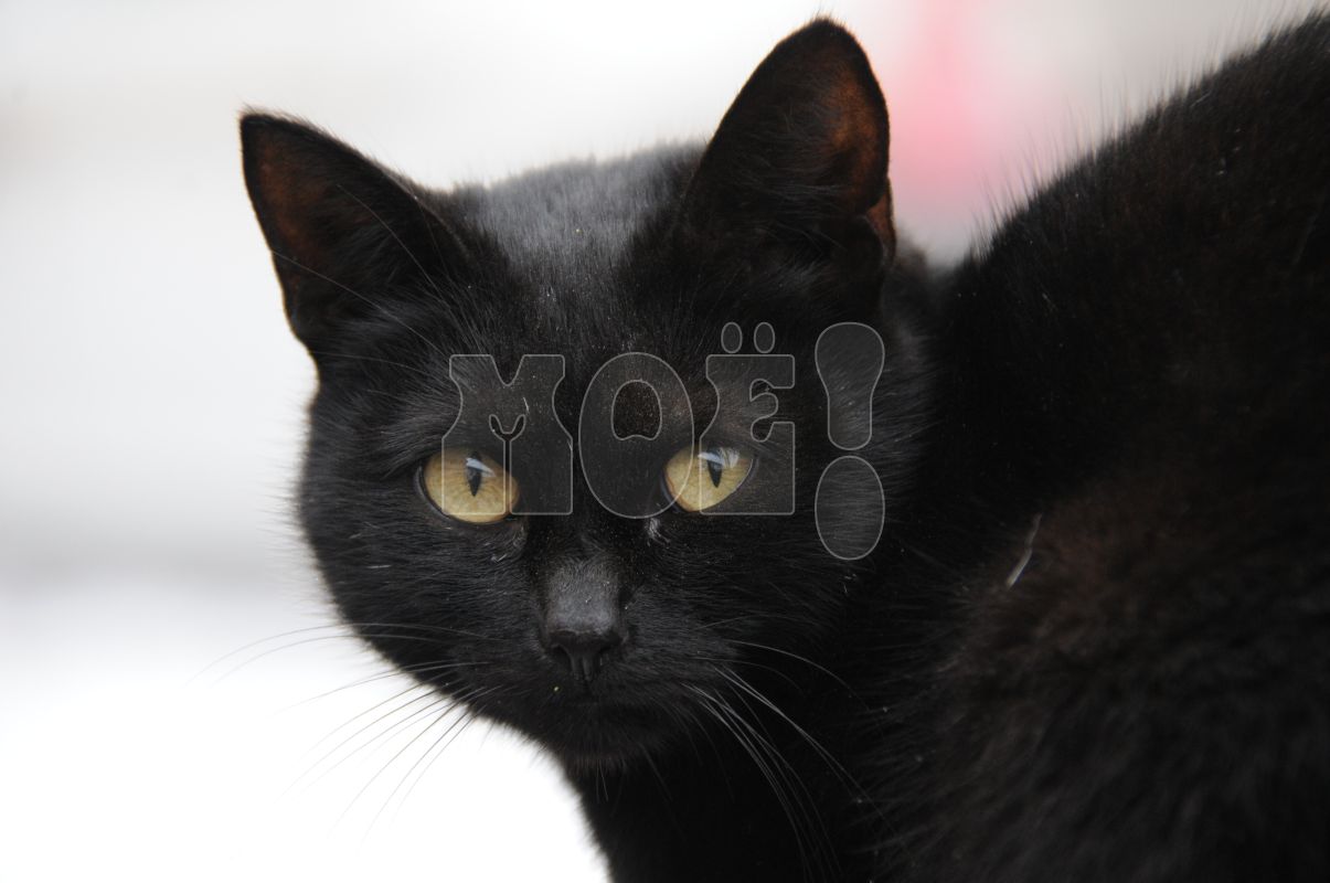 <p>Заставочное фото</p>