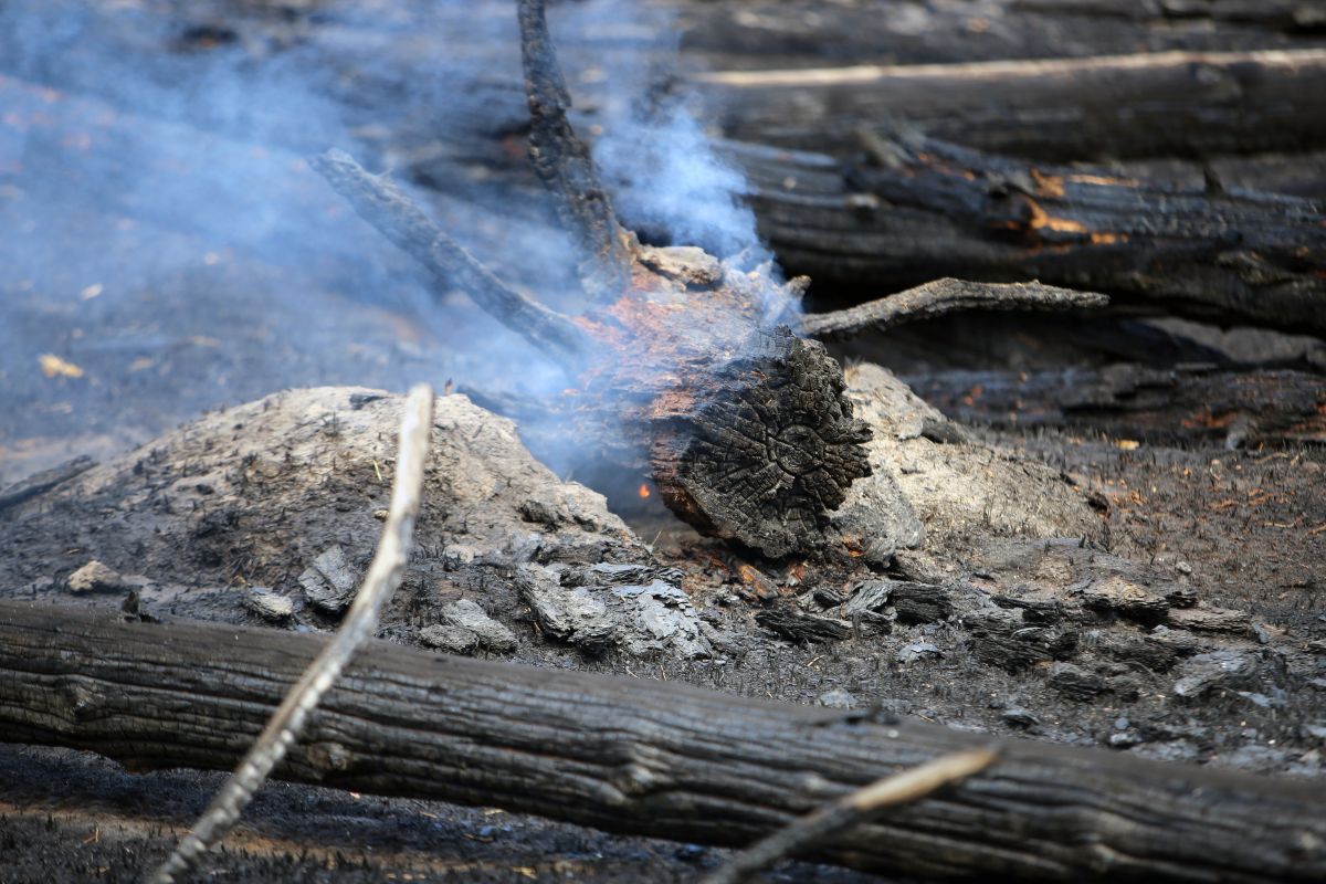 В Курске ночью сгорел жилой дом