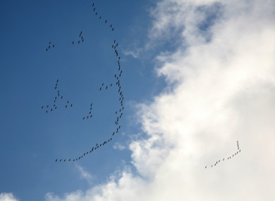 Землятрясение в 28 километрах от Краснодара. Что слышно? 