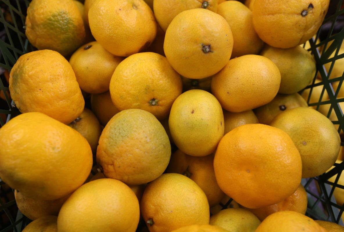 Отпразднуем! 10 февраля Китайский Новый Год