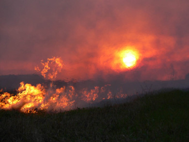 Мощнейшая магнитная буря может повлиять на здоровье курян 12 февраля