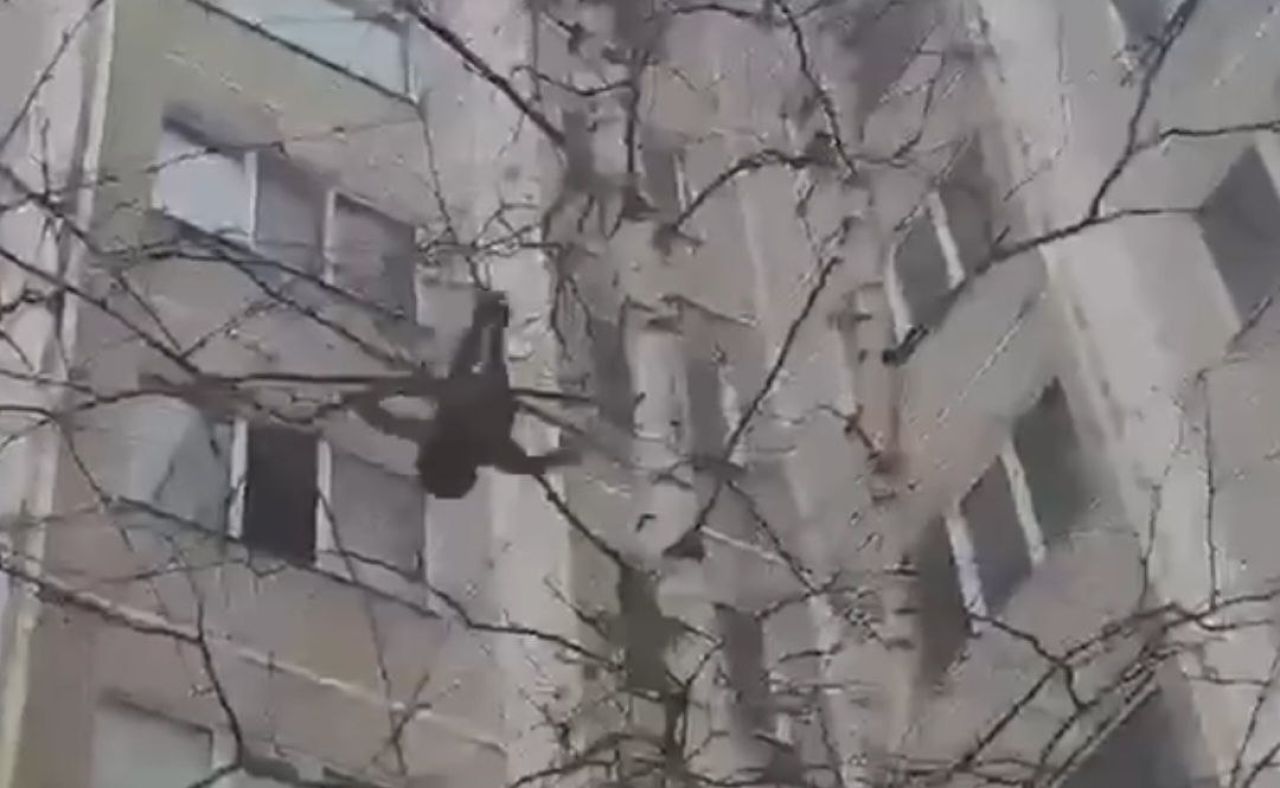 Подросток выпрыгнул с&nbsp;пятого этажа ради эффектного видео