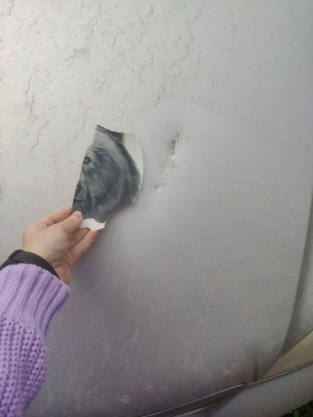В Курске неизвестные сбрасывают из окна кухонную утварь
