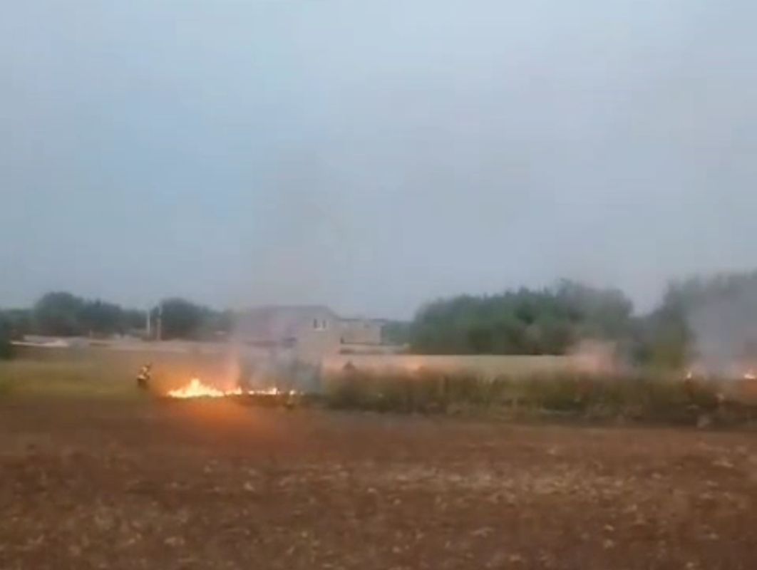 В Курской области потушили крупный ландшафтный пожар