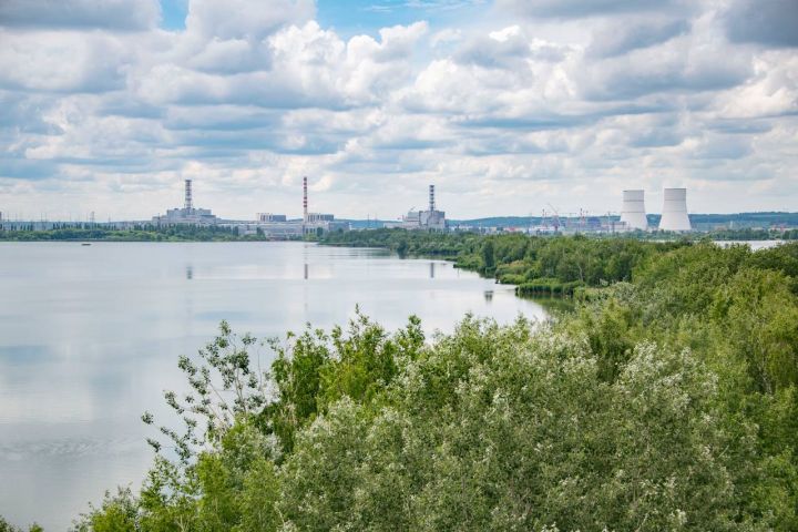 В Курской области прокомментировали работу АЭС