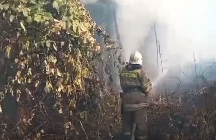В Курской области сгорели три хозпостройки