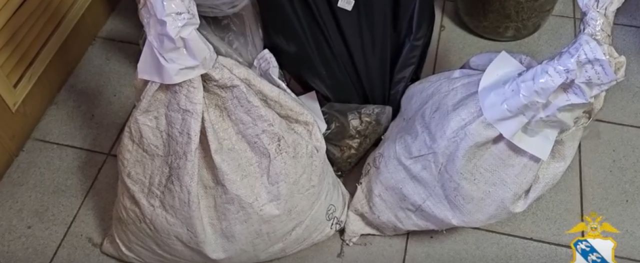 В Курске задержали мужчину с криминальным урожаем