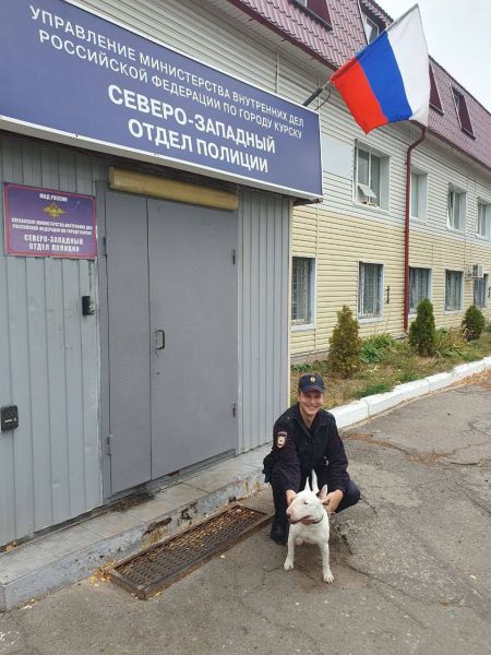 В Курске дети помогли найти пропавшую собаку