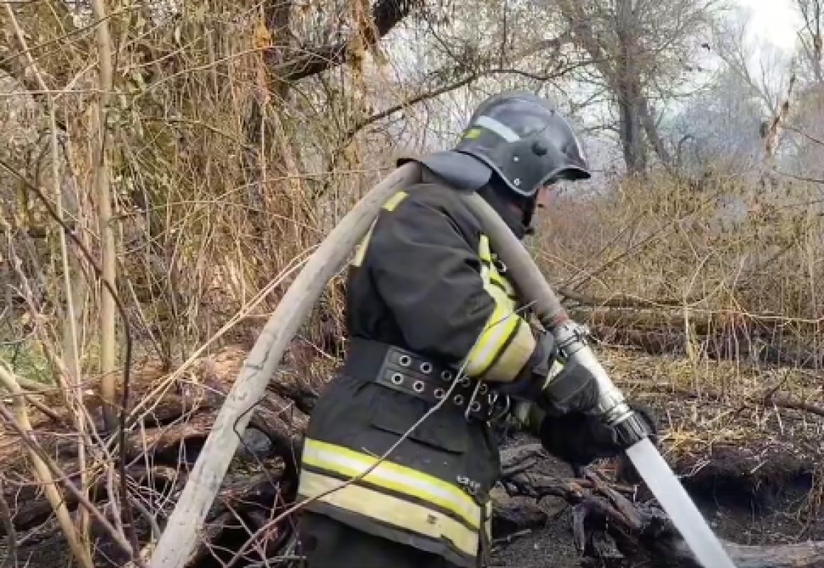 Под Курском тушили горящий торф