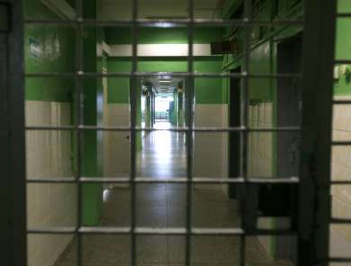 Задержали пятого заключённого, сбежавшего из колонии в Черноземье