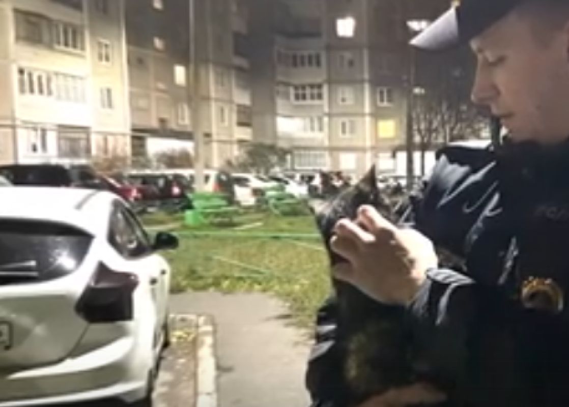 В Железногорске участковый помог спасти котенка из-под капота автомобиля