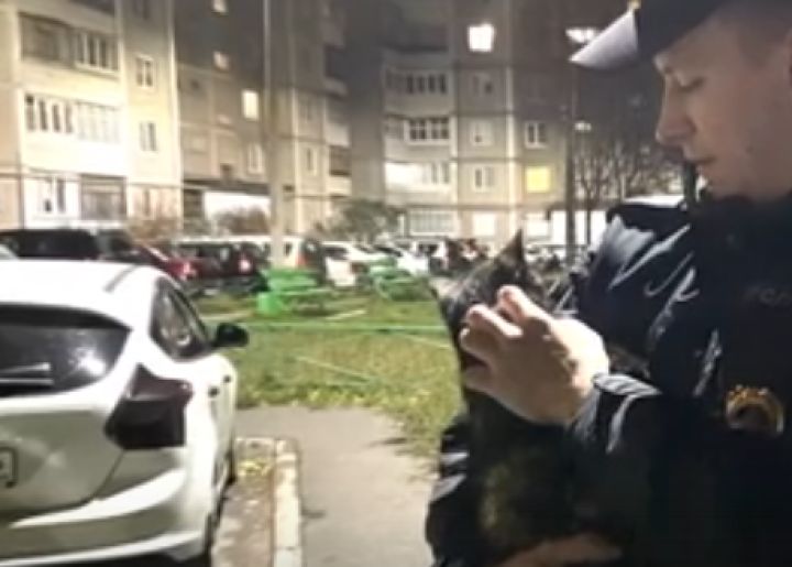 В Курской области участковый спас котенка из-под капота автомобиля