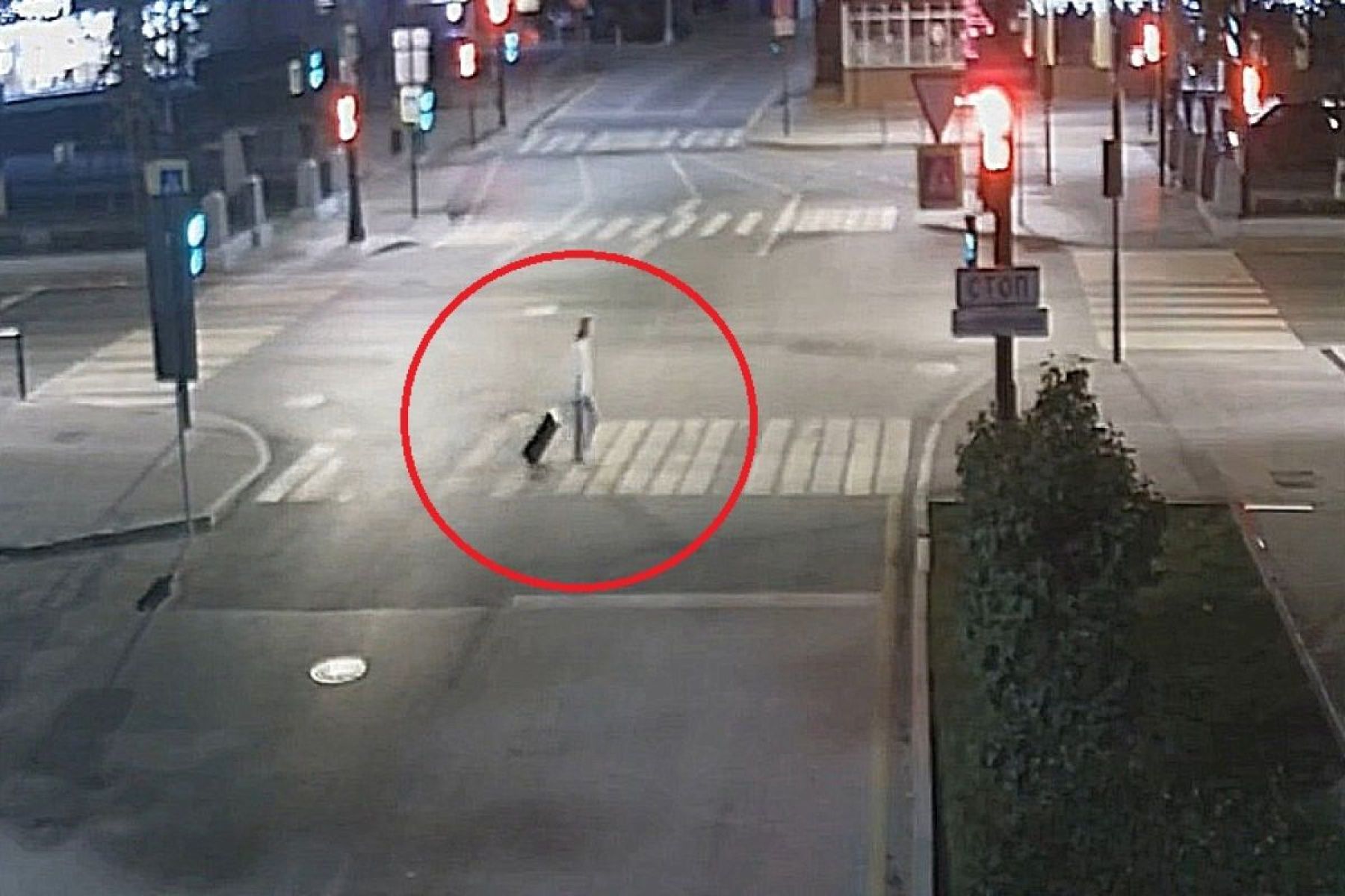 Женщину, выбросившую труп сына в&nbsp;чемодане на помойку, признали вменяемой