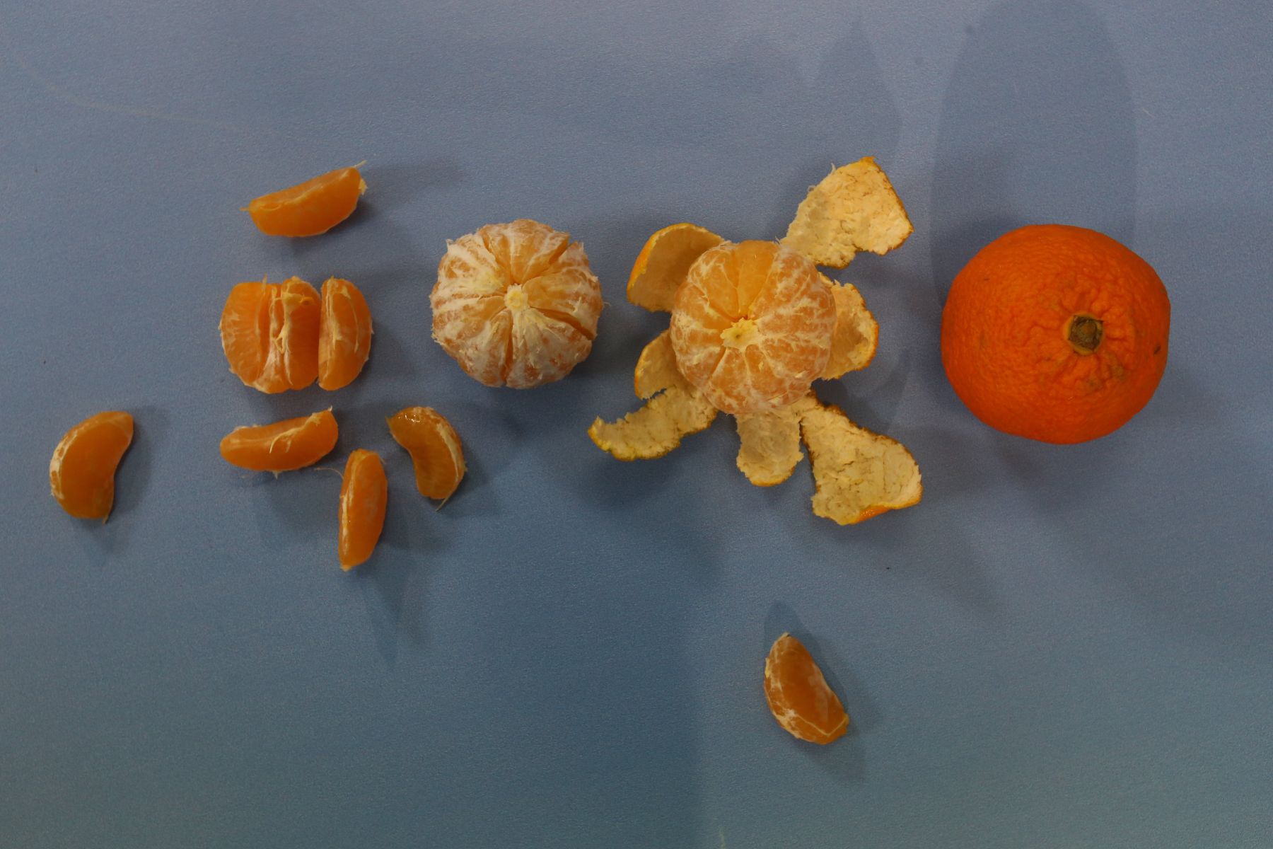 Мандарины на&nbsp;любой вкус: о&nbsp;сортах новогодних цитрусов рассказали специалисты