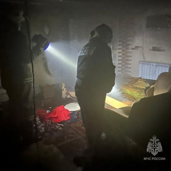 В Курской области горел частный дом