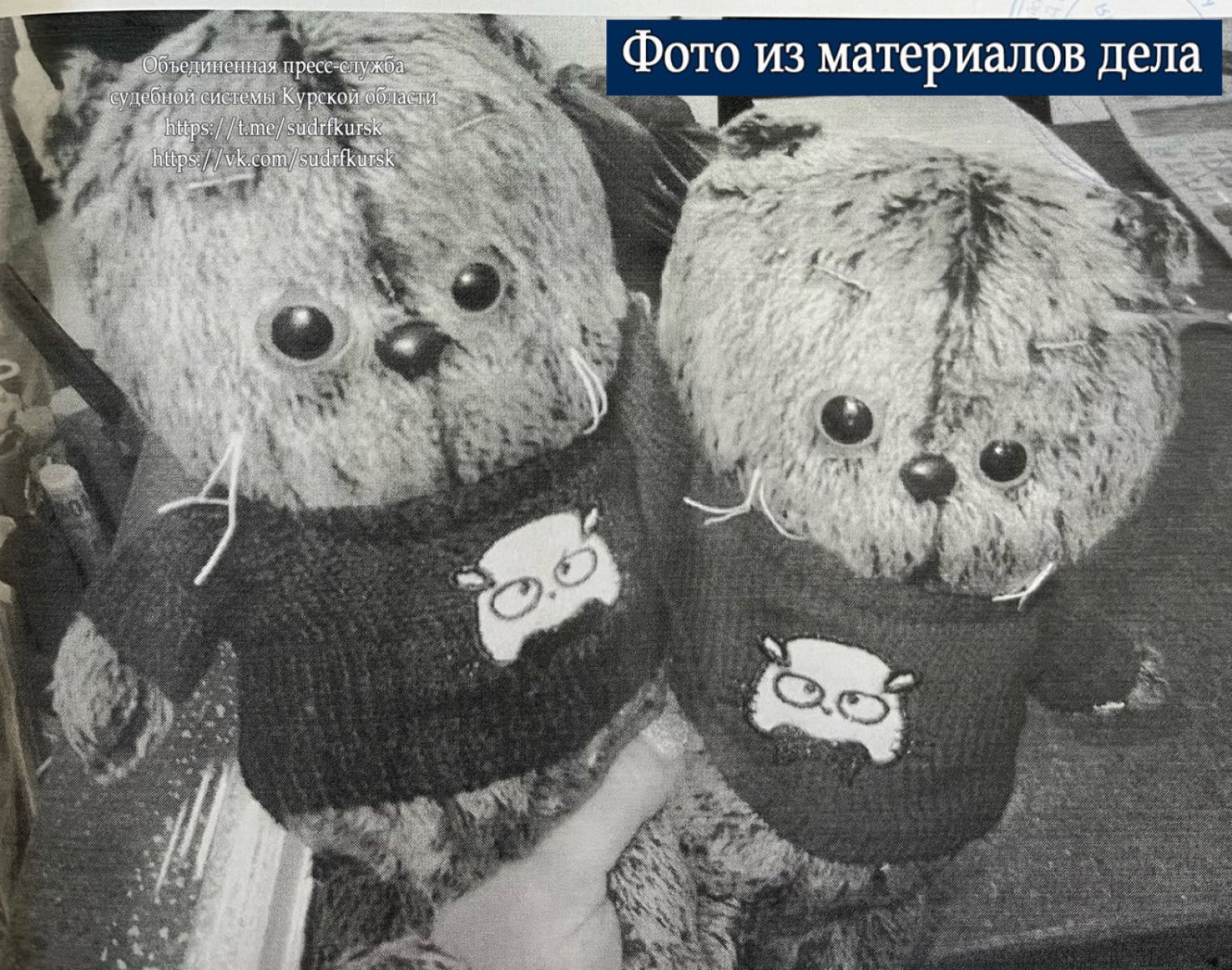 В Курске из магазина конфисковали плюшевых котов Басиков