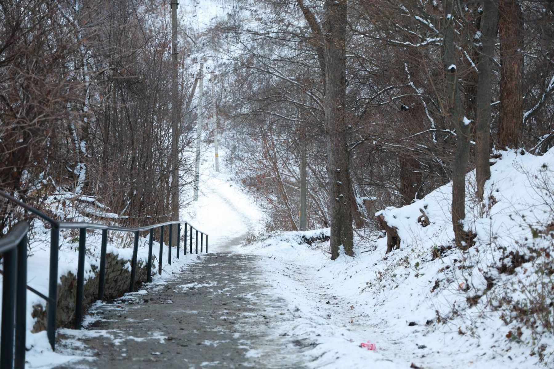 Предпоследняя неделя декабря принесет в Курск мартовскую погоду