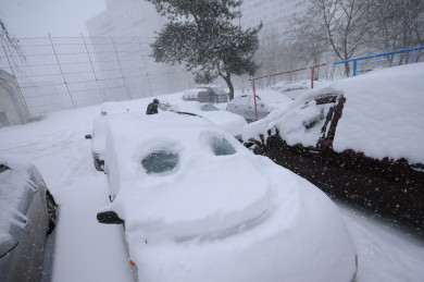 Мартовское тепло накроет Курск в предпоследние выходные декабря