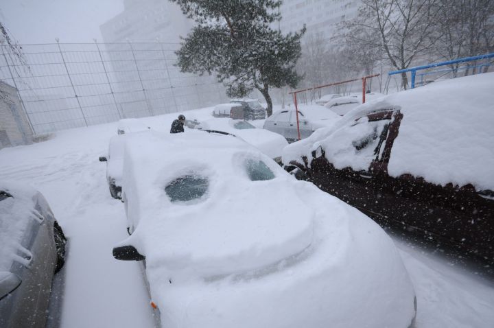 Предпоследние выходные декабря принесут в Курск мартовское тепло
