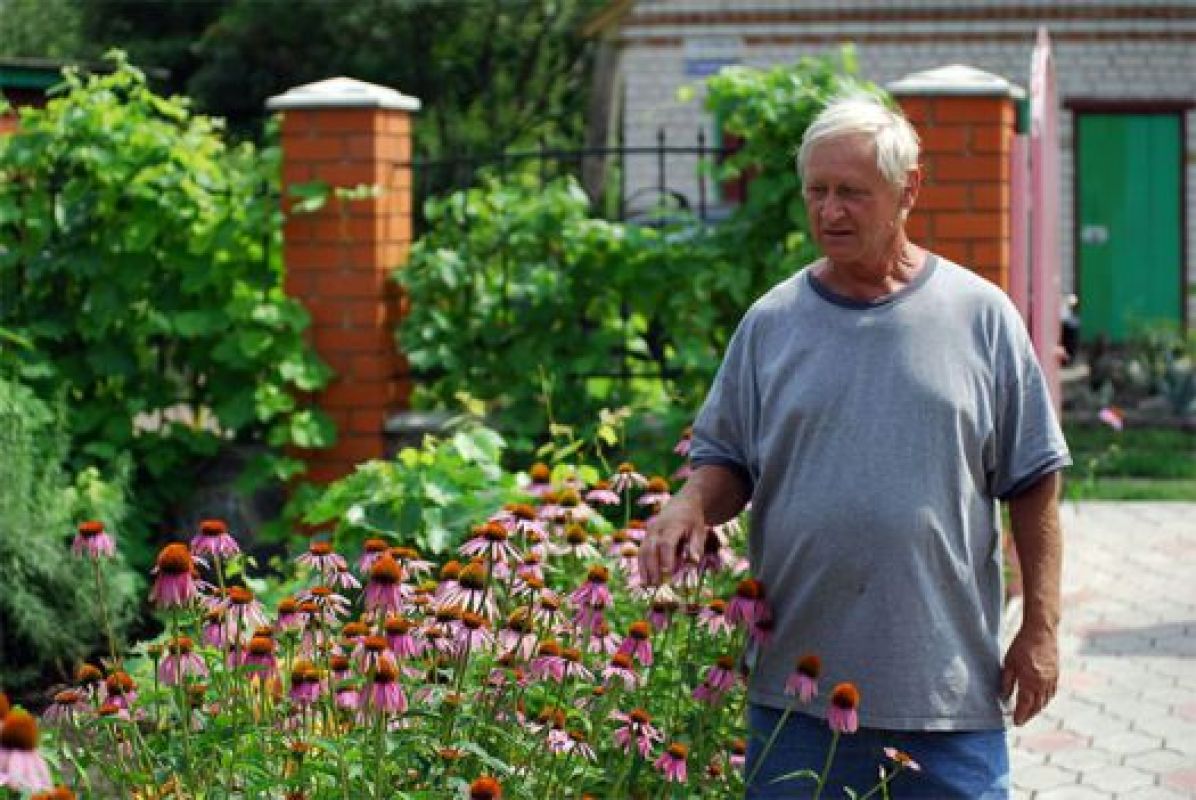 Растения, которые раньше с трудом разводили садоводы, теперь есть повсеместно