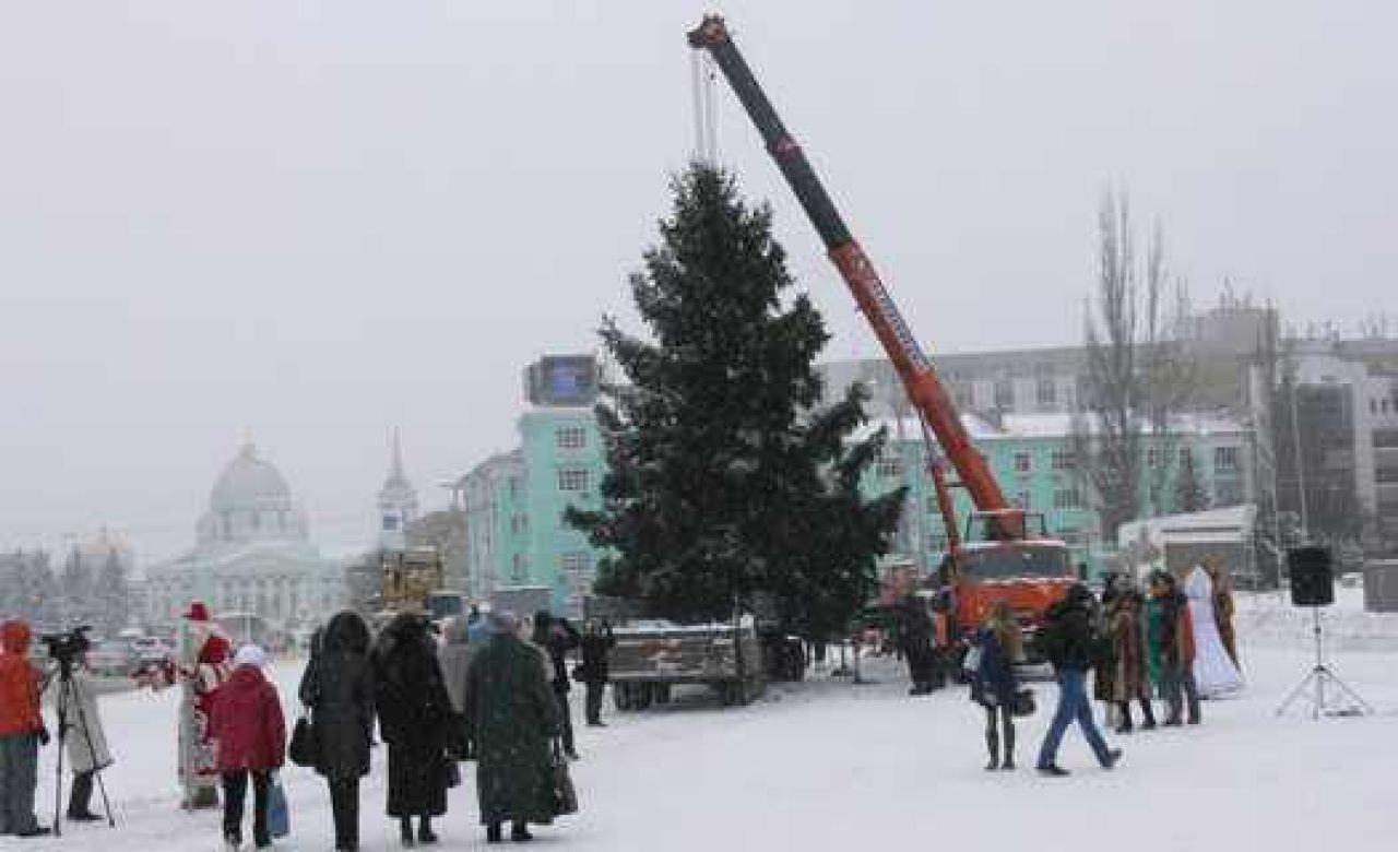 В Курске установили главную ёлку города