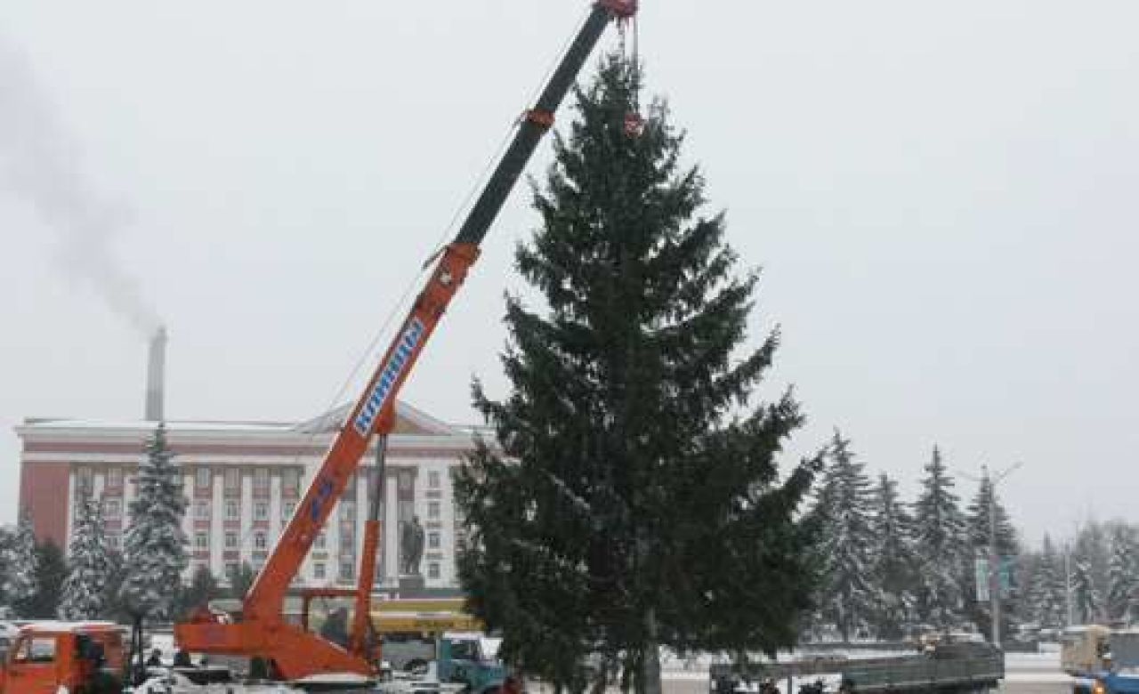 В Курске разбирают главную ёлку