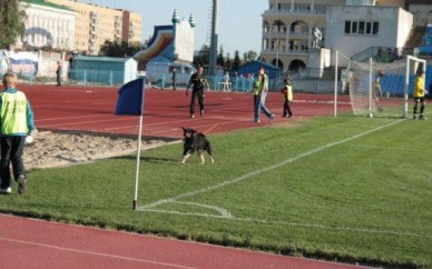 Физкульт-прикол!