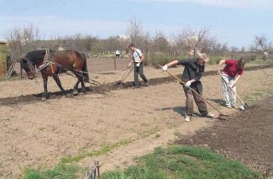 Ленивых дачников лишат участков
