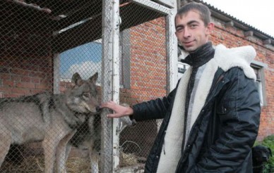 «Своего волка я выгуливаю на поводке»