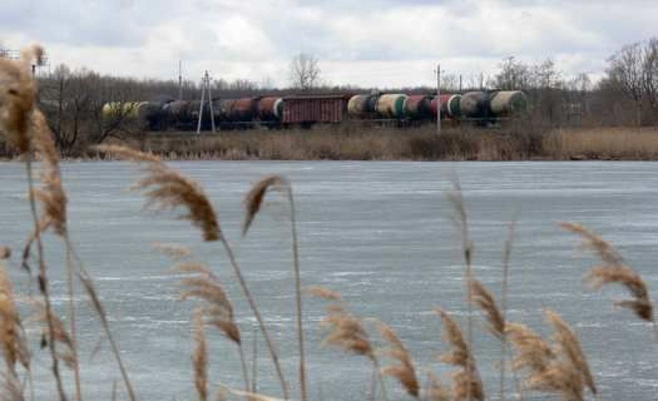 В Курской области чиновники незаконно сдавали в аренду пруды