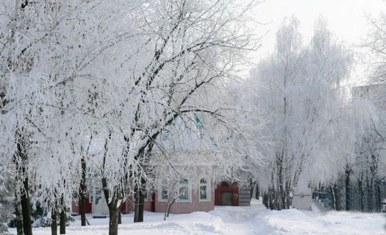 Курянам обещают морозную неделю