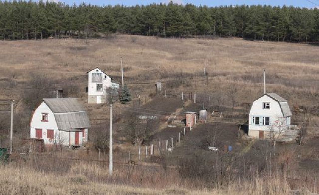 Курянина оштрафовали за сорняки на земельном участке