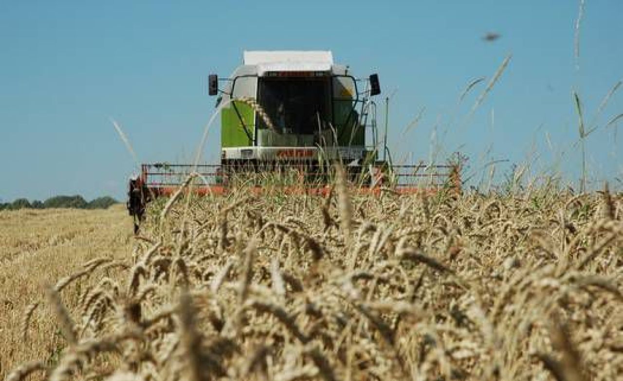 В Курской области собран первый миллион тонн хлеба