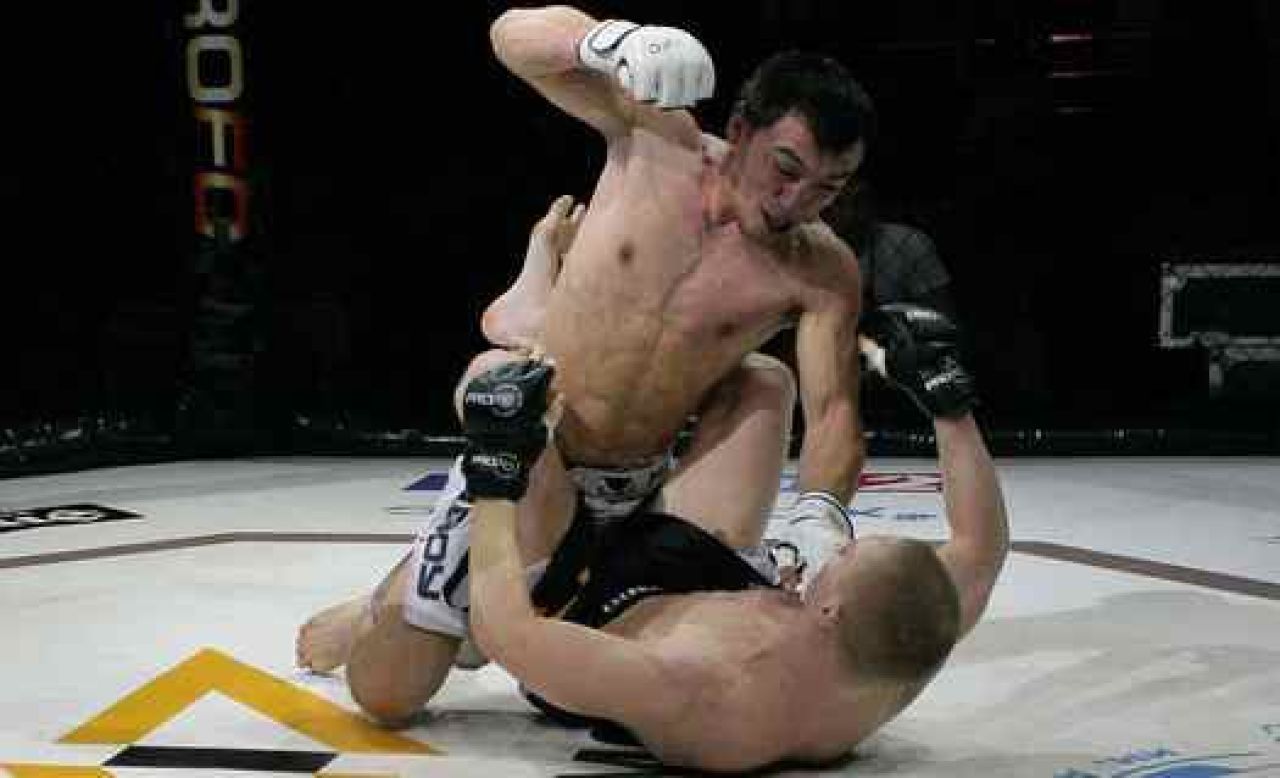 В Курск на турнир по смешанным единоборствам приедут Александр Поветкин и Денис Лебедев