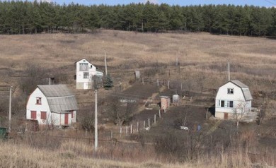 Курянин с поля фермера украл почти полтонны кукурузы