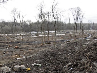 В парке «Солянка» построят торговый центр?