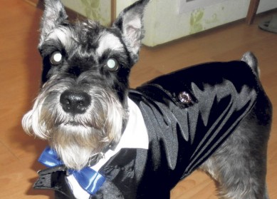 Кому из известных курян покровительствует Собака