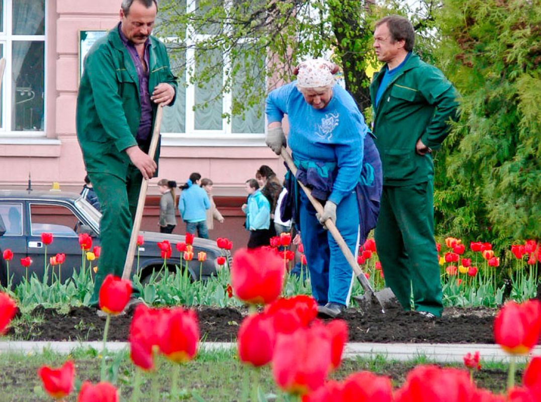 Проголосовать за благоустройство Курска можно в винном магазине