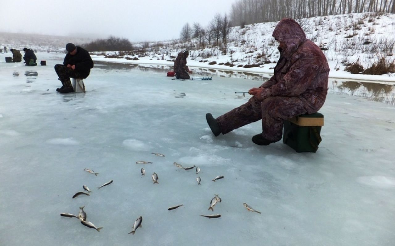 Видео ловли рыбы зимой. Зимняя рыбалка. Рыбаки на льду. Прорубь для рыбалки. Зимний Рыбак.