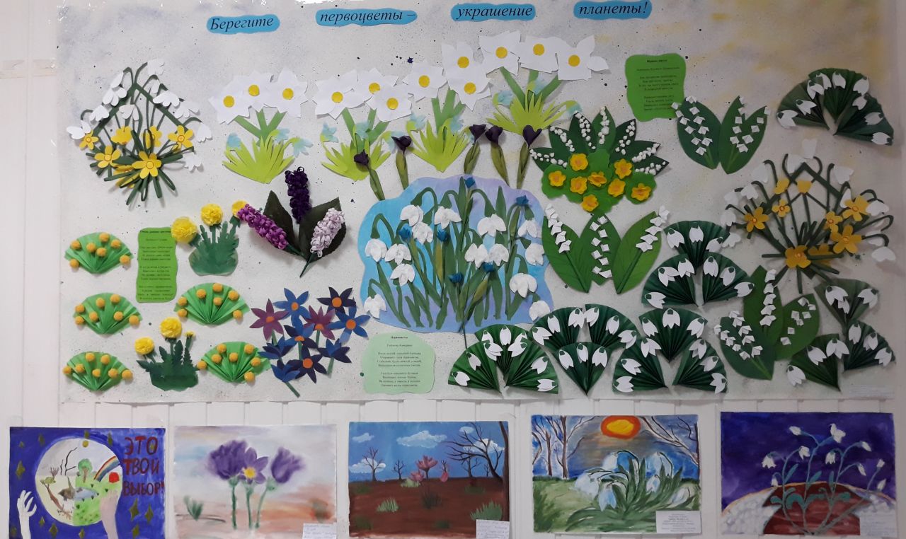 Плакат первоцветы. Весенние цветы для садика. Первоцветы для детей подготовительной группы. Выставка весенние цветы в детском саду. Аппликация на тему первоцветы.