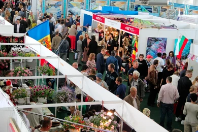 Курская Коренская ярмарка‑2019: плюсы VS минусы